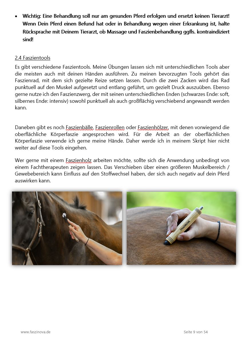 Leseprobe Faszienguide