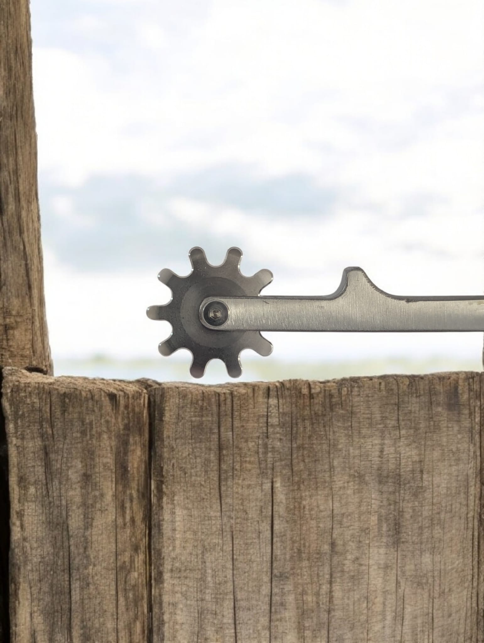 WhatsApp Image 2026-01-19 at 11.16.00